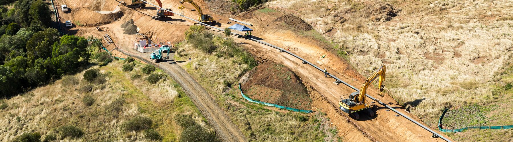 Image courtesy of Diona